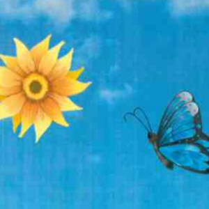 NOS COLIS PRINTEMPS